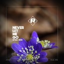 Rcena - Never Let Me Go DITSUO Remix