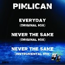 Pimlican - Everyday Original Mix