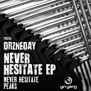 Drzneday - Peaks Original Mix