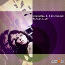 Calabria Superstash - Reflection Loungeside Edit