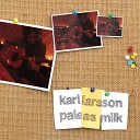 Karl Larsson - Is It Cold in Here