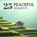 Art of Peace - A Moment of Peace