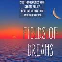 Deep Focus Academy - Fields Of Dreams Relaxing Music