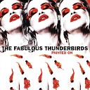 Fabulous Thunderbirds - Postman