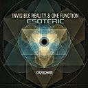 Invisible Reality One Function - Esoteric