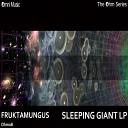 Fruktamungus - Quantum Foam Original Mix