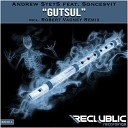 Andrew StetS feat Soncesvit - Gutsul Original Mix