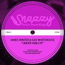 James Winter Gav Whitehouse - Smashing Dear Original Mix