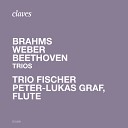Trio Fischer - Trio No 2 in C Major Op 87 II Andante con…