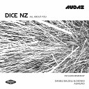 DiCE NZ - All About You Alkalino Remix