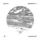 Zalem - Travel Original Mix