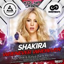 Shakira - Whenever Wherever Alex Shik Kolya Dark Remix