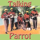 Calypso Rhythm - Talking Parrot