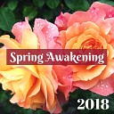 Spring Awakening - Relax My Soul