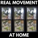 Real Movement - Plant Life