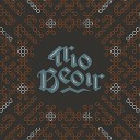 Trio Beoir - New Year s Jig Summerbay Reel