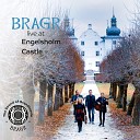Bragr - Surgubben Live