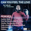 DJ Valdi feat Peter Pou - Can You Feel the Love Geo da Silva Jack Mazzoni…