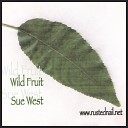 Sue West - Music of My Heart