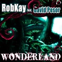 RobKay feat David Posor feat David Posor - Wonderland Clubshockers Remix Edit