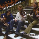 The AM String Band - Scollay s Reel