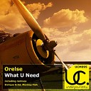 Orelse - What U Need Original Mix