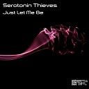 Serotonin Thieves - Just Let Me Be Tripmastaz Remix