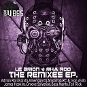 Le Brion Rha Roo - Consciousness Adrian Roji Remix