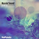 Murvin Sound - Like This Original Mix