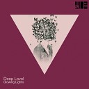 Deep Level - Outta Control Original Mix