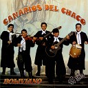 Canarios Del Chaco Boliviano - Amor Salvaje Por Qu Ser