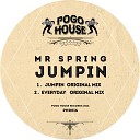 Mr Spring - Everyday Original Mix