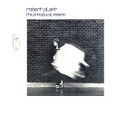 Robert Plant - Horizontal Departure 2006 Remaster