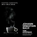 Ton Koopman Anne Grimm - Schweigt stille plaudert nicht BWV 211 Aria Soprano Ei wie schmeckt der Coffee s…