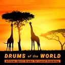 African Tribal Drums - Dreams of Tomorrow