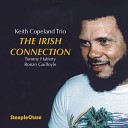 Keith Copeland feat Ronan Guilfoyle Tommy… - Falling in Love with Love