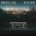 Mumford Sons - Snake Eyes