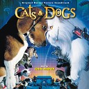 Роман Кромский - Cats Vs Dogs Theme