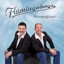 Flamingoboys - Auf Den DJ Ist Verlass