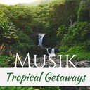 Robert BGM - Tropical Getaways Musik