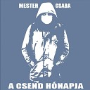 Mester Csaba - A csend h napja