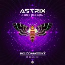 Astrix - High on Mel No Comment Remix