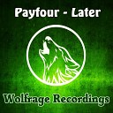 Payfour - Later Original Mix