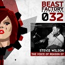 Stevie Wilson - The Voice Of Reason Original Mix