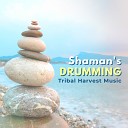 Shamanic Music Tribe - Temple of the Mind