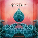 Nertum - Consciousness Awakened Original Mix