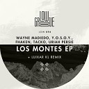 Wayne Madiedo Fhaken Uriah Persie - Sol Original Mix