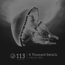 A Thousand Details - The Plant Original Mix
