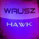 Wausz - Hawk Original Mix
