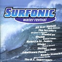 Paul Johnson - Wave Perfect Instrumental